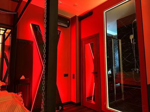 nomer-dominant-2026-02